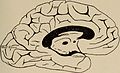 Nervous and mental diseases (1908) (14797862323).jpg