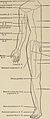 Nervous and mental diseases (1908) (14591437477).jpg