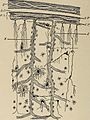 Nervous and mental diseases (1908) (14777601752).jpg