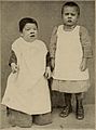 Nervous and mental diseases (1908) (14591881338).jpg