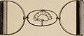 Nervous and mental diseases (1908) (14591258078).jpg