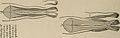 Nervous and mental diseases (1908) (14591464489).jpg