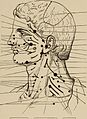 Nervous and mental diseases (1908) (14591235999).jpg