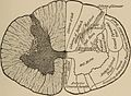 Nervous and mental diseases (1908) (14774953971).jpg
