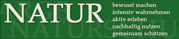 Bewusst machen? Was denn - Fehler?