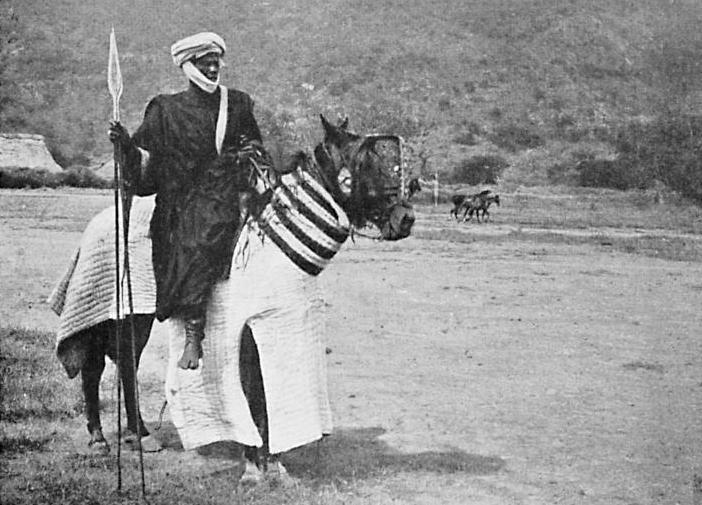 File:Cavalier arabe du Dékakiré sur un cheval caparaçonné.jpg