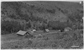 Medical Springs R. S., Minam Forest, 1917 - NARA - 299165.tif