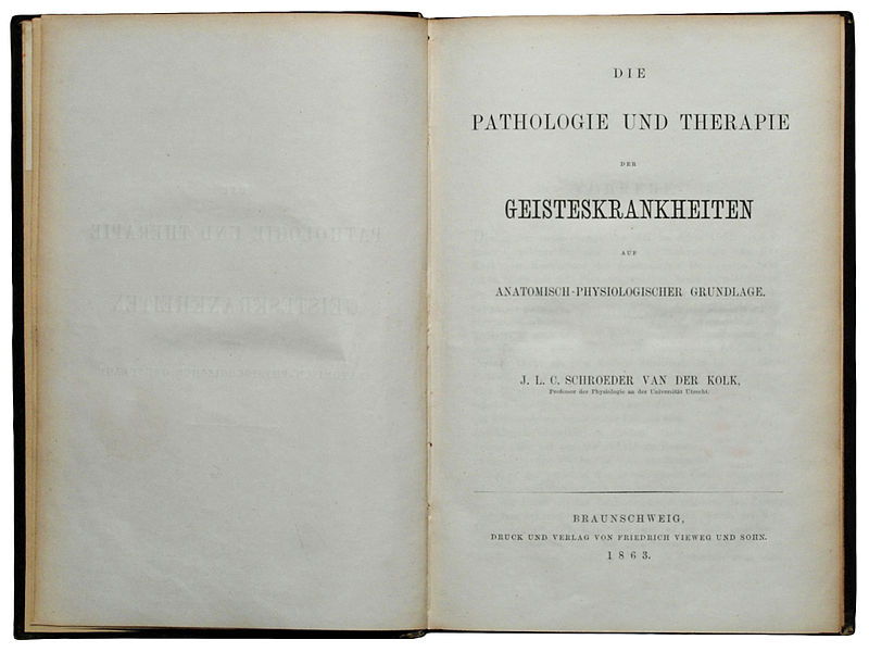 File:1863 Schroeder van der Kolk Geisteskrankheiten.jpg