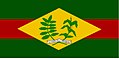 Bandeira de Euclides da Cunha.jpg