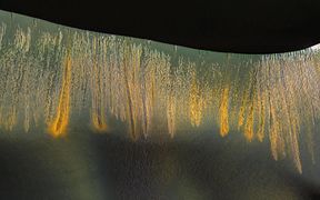 PIA20736 - Glowing Gullies in Kaiser Crater Dunes.jpg