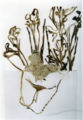 1. ST, 2001. Brea y tela sobre papel vegetal y poliéster. 155 x 110 cm..png
