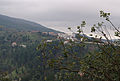 Aïn Draham, décembre 2014 (06).jpg