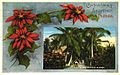 "Christmas Greetings from Florida - A Midwinter Scene" (11403548023).jpg