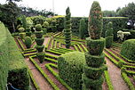 Funchal Botanical garden IMG 1806.JPG