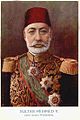 SultanmehmedV1917.jpg