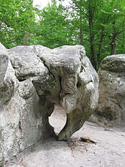 Forêt de Fontainebleau Apremont éléphant.jpg