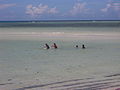 People swim the ocean on Saipan.JPG