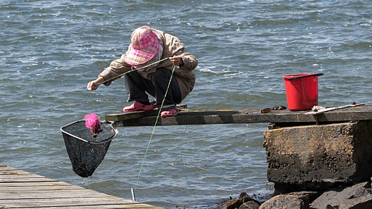 Woman fishing for shore crabs