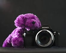 Fluffy purple puppy plushie self portrait.jpg
