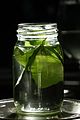 Infusion te coca hoja crista castellanos.jpg