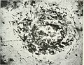 A. M. A. archives of neurology and psychiatry (1919) (14800457713).jpg