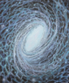 Spiral Galaxy.png