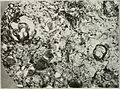 A. M. A. archives of neurology and psychiatry (1919) (14593872210).jpg