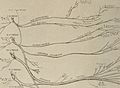 Nervous and mental diseases (1919) (14595114497).jpg