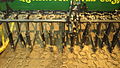 1902 Monitor seed drill detail.jpg
