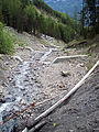 Check dams barcelonnette.JPG