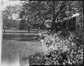 "House & garden, Main St., 1914" (4422879083).jpg
