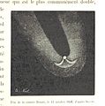 Image taken from page 257 of 'L'Espace céleste et la nature tropicale, description physique de l'univers ... préface de M. Babinet, dessins de Yan' Dargent' (11052551243).jpg