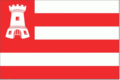 Alkmaarse vlag.gif