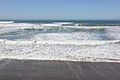 Laika ac Ocean Beach (13272969714).jpg