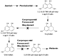 Melaninbiosynthese-Hemmer (MBI-D).svg