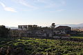 Alghero - Azienda Surigheddu (24).JPG