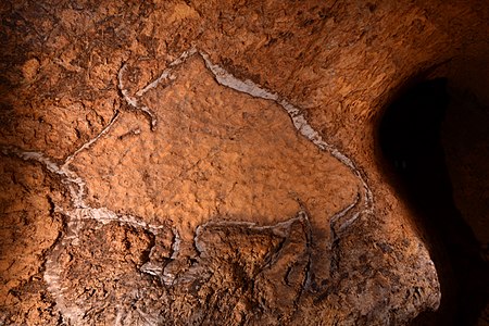 Cave art depicting a Bison in Aizpitarte caves, Basque Country. Is the first time this kind of engravings has been discovered south of the Pyrinees
