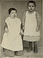 Nervous and mental diseases (1919) (14781448172).jpg