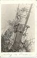 "Resting in Peace 1917" (7980761037).jpg