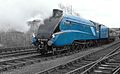 " Bittern "at Barrow Hill farewell to the A4's - panoramio.jpg