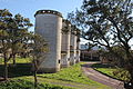 Alghero - Azienda Surigheddu (07).JPG