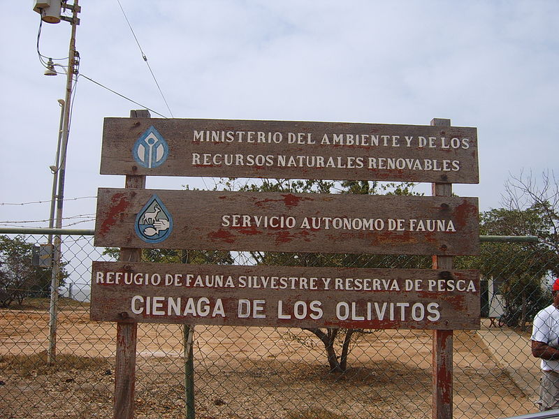 File:!CIENAGA LOS OLIVITOS.JPG