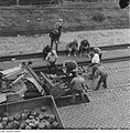 Fotothek df ps 0000234 005 Straßenbahngleisbau in der Warthaer Straße. Bauarbeit.jpg