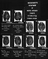 Criminal brains.jpg