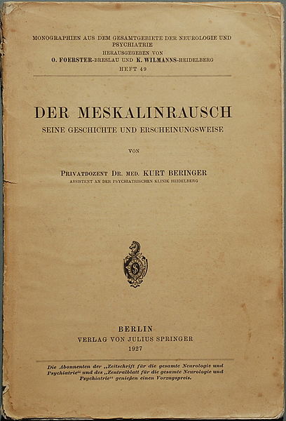 File:Der Meskalinrausch (Kurt Beringer, 1927).jpg