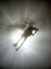 Diver Silhouette, Great Barrier Reef.jpg