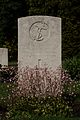 CathaysCemy CWGSection RNVR HAle 8244.jpg