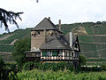 Burg Osterspai.jpg