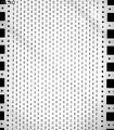 File:A-Microfluidic-System-for-Studying-Ageing-and-Dynamic-Single-Cell-Responses-in-Budding-Yeast-pone.0100042.s007.ogv