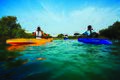 Kayaking in Sir Bani Yas Island.jpg